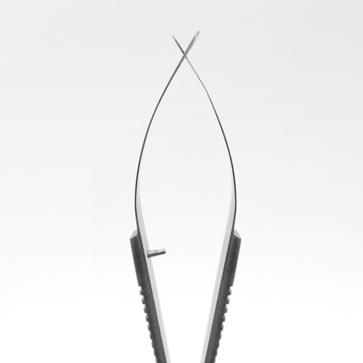 Aqua Rebell Spring Scissors curved 16 cm